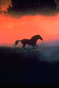 Заклинатель лошадей / The Horse Whisperer (Роберт Редфорд, Сэм Нил, Скарлетт Йоханссон, 1998)  89a96f205629802